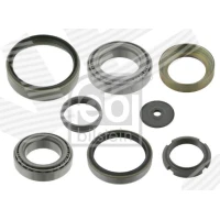 Wheel bearing kit