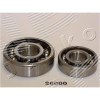 Wheel bearing kit