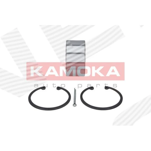 WHEEL BEARING KIT - 1