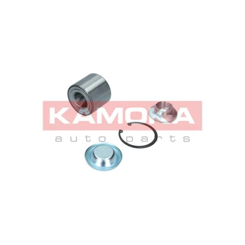 WHEEL BEARING KIT - 1