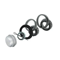 Wheel bearing kit