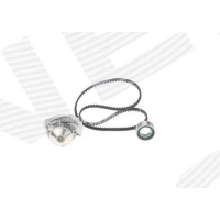 Water pump and timing belt set