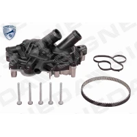 Water pump and timing belt set